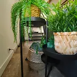 Apartament Jungle Climatise Centre