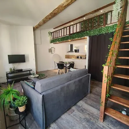Apartment Jungle Climatise Centre *