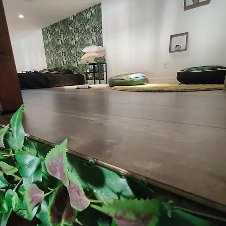 Jungle Climatise Centre Apartment Nimes