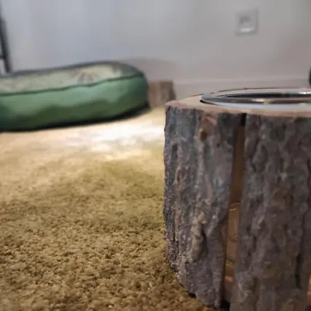 Jungle Climatise Centre Apartment *