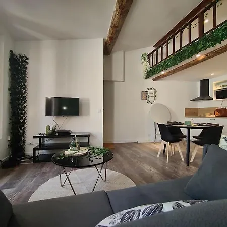 Apartment Jungle Climatise Centre *
