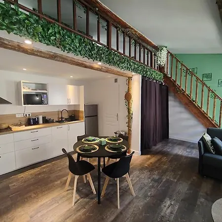 Apartment Jungle Climatise Centre