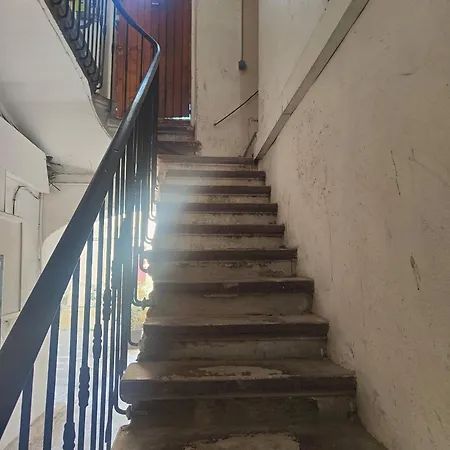 Jungle Climatise Centre Apartman