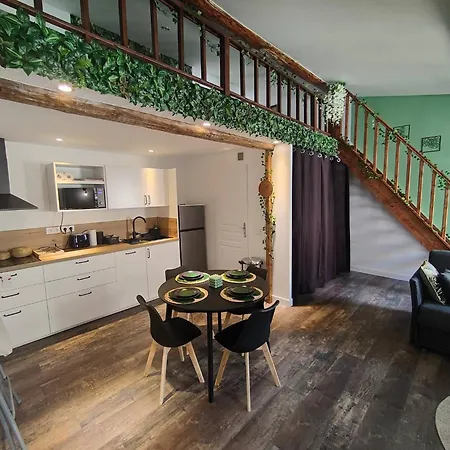 Apartament Jungle Climatise Centre *