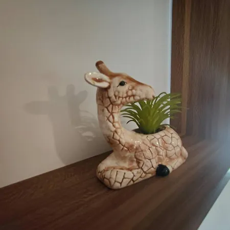 Jungle Climatise Centre Apartment