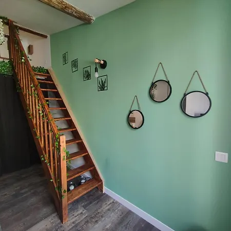 Jungle Climatise Centre Apartment *