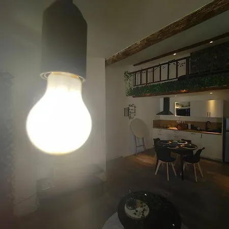 Apartament Jungle Climatise Centre