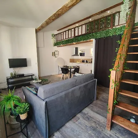 Apartment Jungle Climatise Centre *
