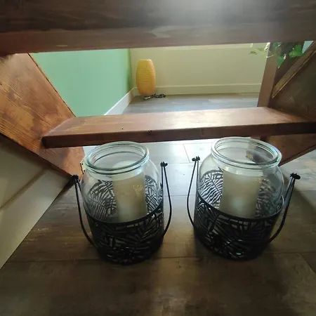 Jungle Climatise Centre Apartman Nîmes