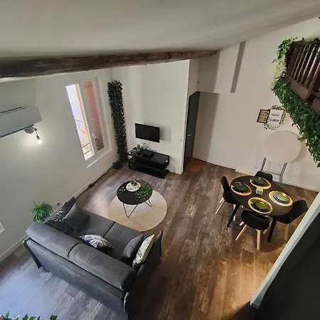 Jungle Climatise Centre Apartman