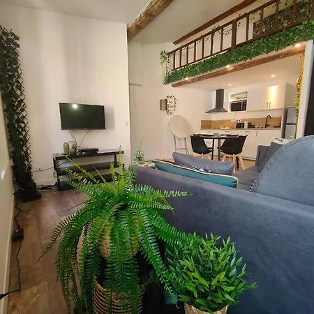 Jungle Climatise Centre Apartment *