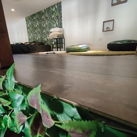Jungle Climatise Centre Apartment Nimes