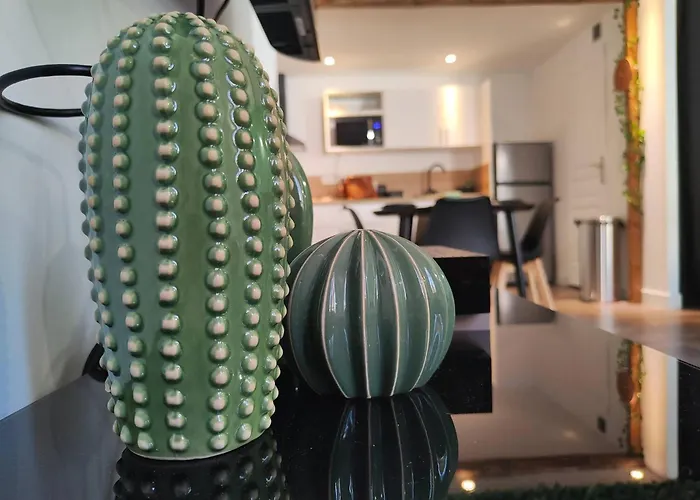 Jungle Climatise Centre Nîmes