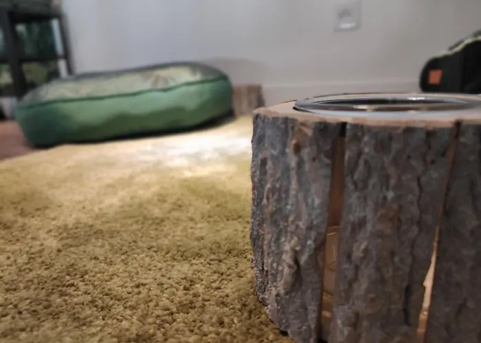 Jungle Climatise Centre * Nîmes