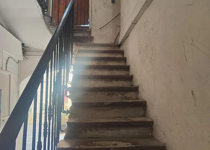 Jungle Climatise Centre Lägenhet