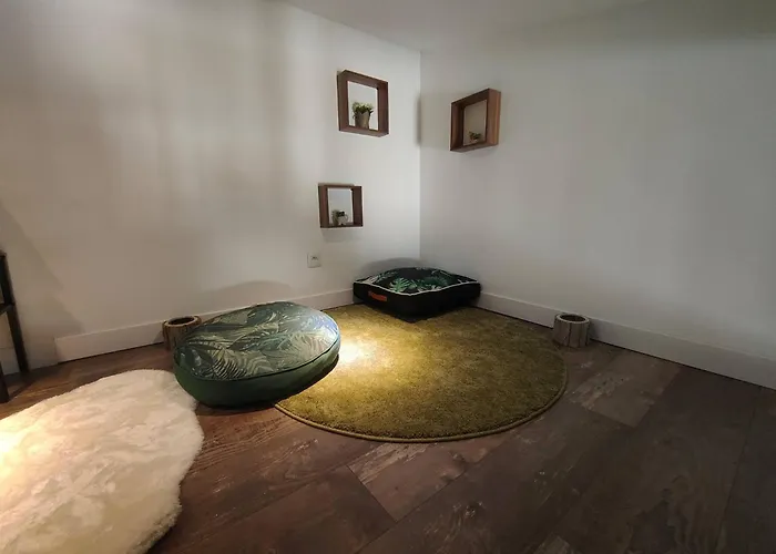 Jungle Climatise Centre * Nîmes