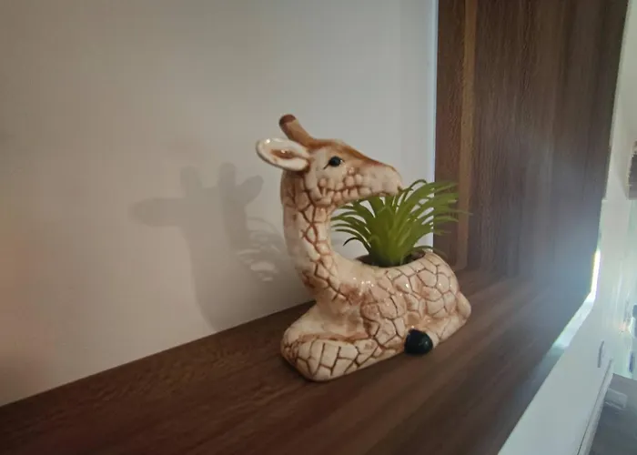 Jungle Climatise Centre Lägenhet