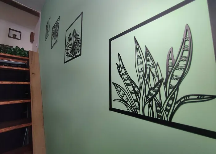 Jungle Climatise Centre Nîmes