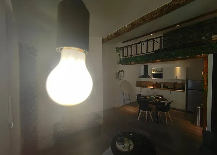 Lägenhet Jungle Climatise Centre