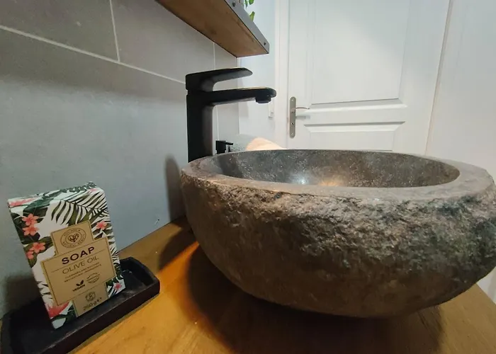 Jungle Climatise Centre Lägenhet Nîmes