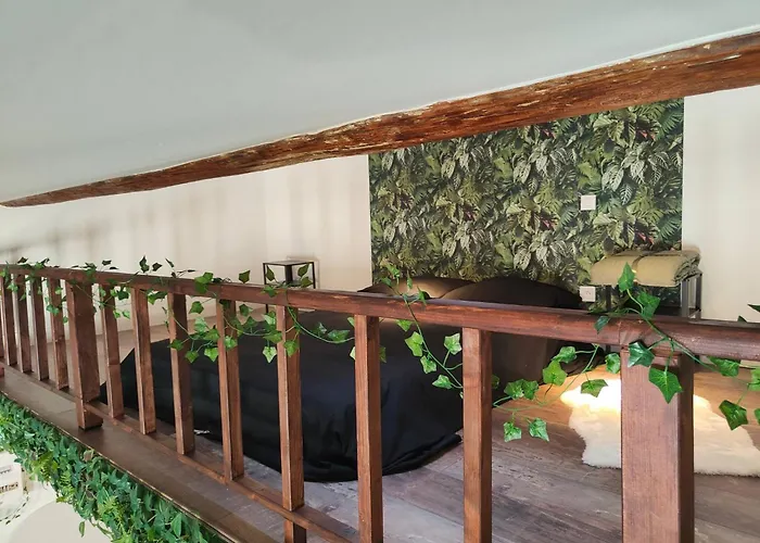 Jungle Climatise Centre * Nîmes