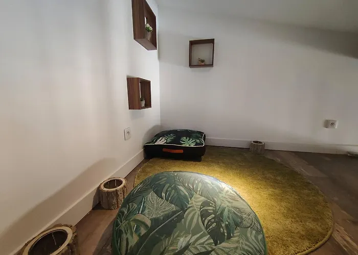 Jungle Climatise Centre *