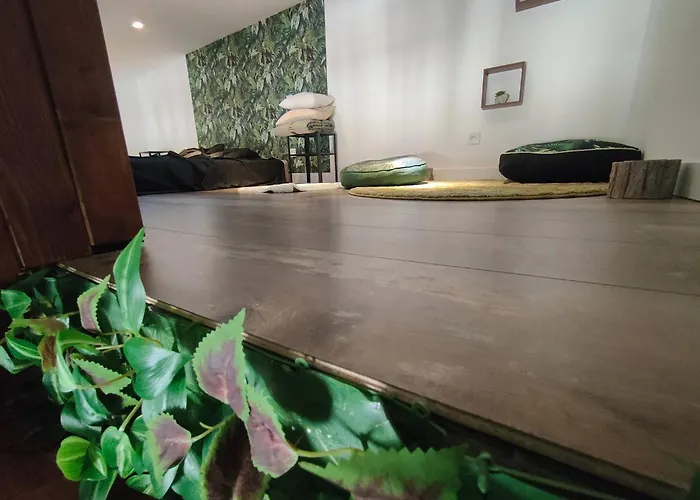 Jungle Climatise Centre Lägenhet Nîmes