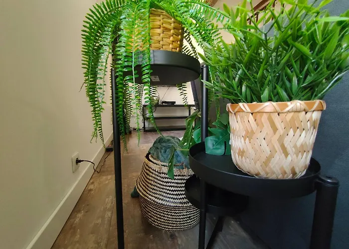 Lägenhet Jungle Climatise Centre